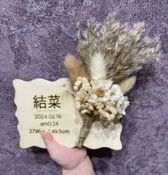 命名書 名前入り おしゃれ 出産祝い 誕生日 プレゼント ニューボンフォト