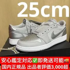 Nike GS Air Jordan 1 Retro Low OG Silver