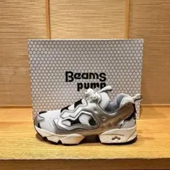 【美品】BEAMS別注 INSTAPUMP FURY "Silver"のサムネイル