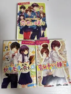 告白予行練習 小説