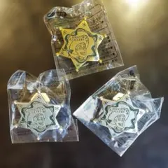 ＴＤＬ ＳＧバッチ２色３個／ウッディのサムネイル