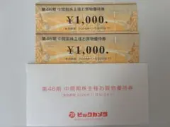 ビックカメラ 株主優待券 2枚セット