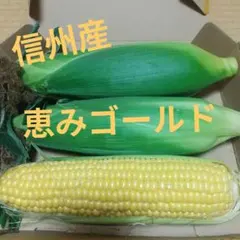 とうもろこし プレミアム味来 香川県産 スィートコーン - メルカリ