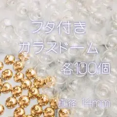 【蓋付き】ガラスドーム 14mm 100pcs♡