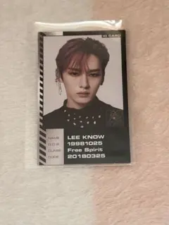 StrayKids スキズORDINARY 封入トレカ リノ