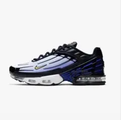 Nike Air Max Plus ホワイト/ブラック/ブルー