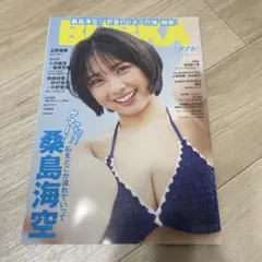 Item thumbnail for item 851cb501-9a5c-426d-98b4-ad4b9bf32656