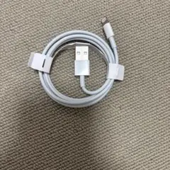 Apple純正Type A ライトニングケーブル