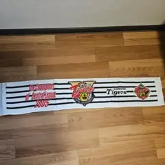 甲子園球場