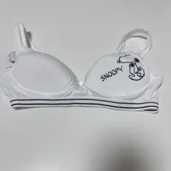 スクールブラジャー Ｌサイズ スヌーピー