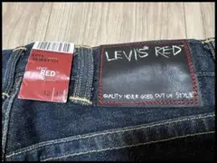 Levi's RED 2004AW：パンク期 Guys Skinny Fitのサムネイル