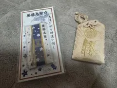 Item thumbnail for item 34b5506b-34e6-41f6-acef-d707b0343aba