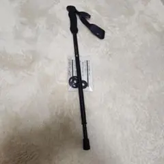 Item thumbnail for item a4d9fb43-8c7e-4a5f-a280-ea85dd658924