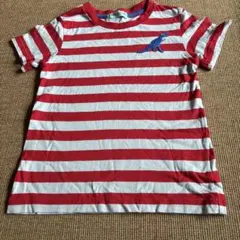hakka kids ボーダー Tシャツ 120cm 恐竜刺繍のサムネイル
