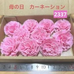 ソラフラワー　2337