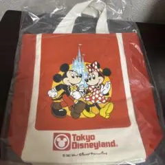 東京ディズニーランド 40周年 メモリーゴーラウンド 復刻 ショルダーバッグ