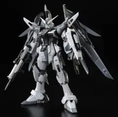ＲＧ 1/144 デスティニーガンダム ディアクティブモード(プレバン限定)