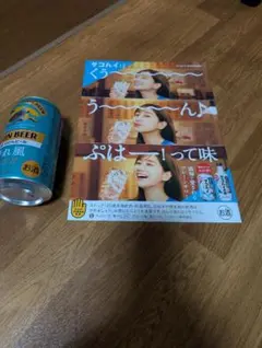 田中みな実　タコライス風味スナックとサントリービールセット　切り抜きのサムネイル