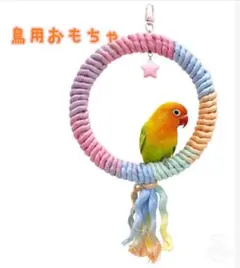 （オーダーページ）ハンドメイド インコさんのぐるぐるロープパーチ ハンドメイド インコおもちゃ オーダーページ 2025.04.27更新
