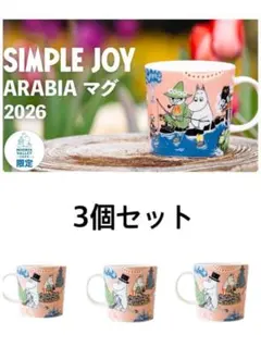 ムーミンバレーパーク限定ARABIAマグ 2026SIMPLE JOY3個セット