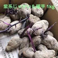 3854様 リクエスト 2点 まとめ商品