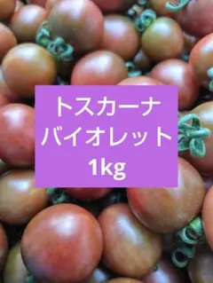 トスカーナバイオレット1kgのサムネイル