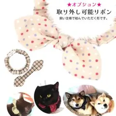 Item thumbnail for item b98631ca-0b48-4729-920d-aee2f10246d7