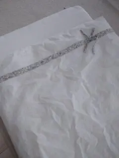 Item thumbnail for item c962b560-7be2-41b2-b01a-3783ba76e3d1