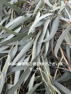 Miho様専用ご商談中でございます…*＊…*＊