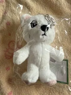 WOOZ DONGS ホワイトベアセット　ウクドン 2025年最新】ウクドン ぬいぐるみの人気アイテム - メルカリ