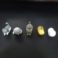 怒った猫ちゃあぁぁん　まとめ売り