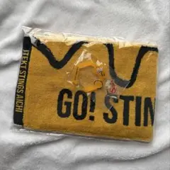 ジェイテクトSTINGS愛知 BEE CLUB FC goodsセット