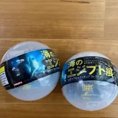 海のエジプト展 セット 2025年最新】海のエジプト展の人気アイテム - メルカリ