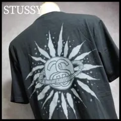 STUSSY Tシャツ ALOHA NUI 紺タグ シングルステッチ USA製 - メルカリ