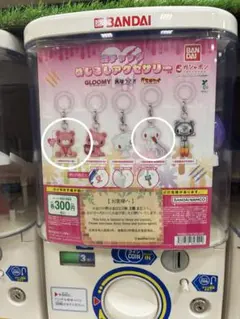 森チャック めじるしアクセサリー 가챠 2종