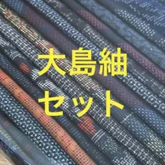 2026年最新】絣着物まとめ売りの人気アイテム - メルカリ