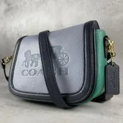 ✨稀少✨美品✨コーチ　ショルダーバッグ 2way ホース&キャリッジ　レザー