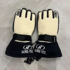 ノルディカスキーグローブ