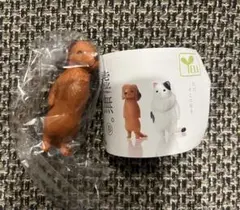 虚無　参　ダックスフンド　ガチャ