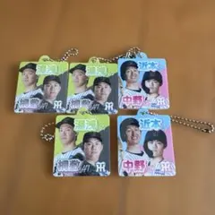 阪神タイガース アクリルキーホルダー 5点セット