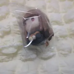 カラフルピーチえとのサムネイル