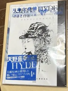 天命と背徳 サイン入りパンフレット 天野喜孝×HYDE展 天命と背徳 図録＆クリアファイル（※使用済み