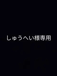 DANTON ナイロンジャケット