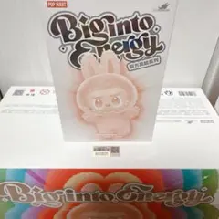 【正規品】POP MART ラブブ Big into Energy 1ピース
