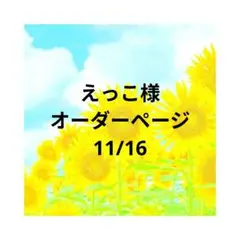 えっこ様　オーダーページ　11/16