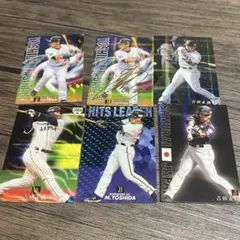 メジロマックイーン武豊金色箔サイン付き。 トレーディングカード。 メジロマックイーン武豊金色箔サイン付き。 トレーディングカード