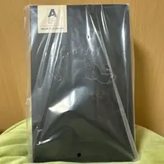 Item thumbnail for item 13b59ab8-3d75-473b-b00f-360071ae7c8b