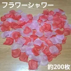フラワーシャワー 結婚式 ウエディング 花吹雪