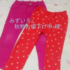 みずいろ♪様  BREEZE 他パンツ 100cm ２枚セットとパーカー＆タイツ