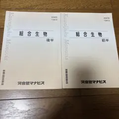 Item thumbnail for item 35f3e09f-ed37-43cf-8397-7d20847c0de7